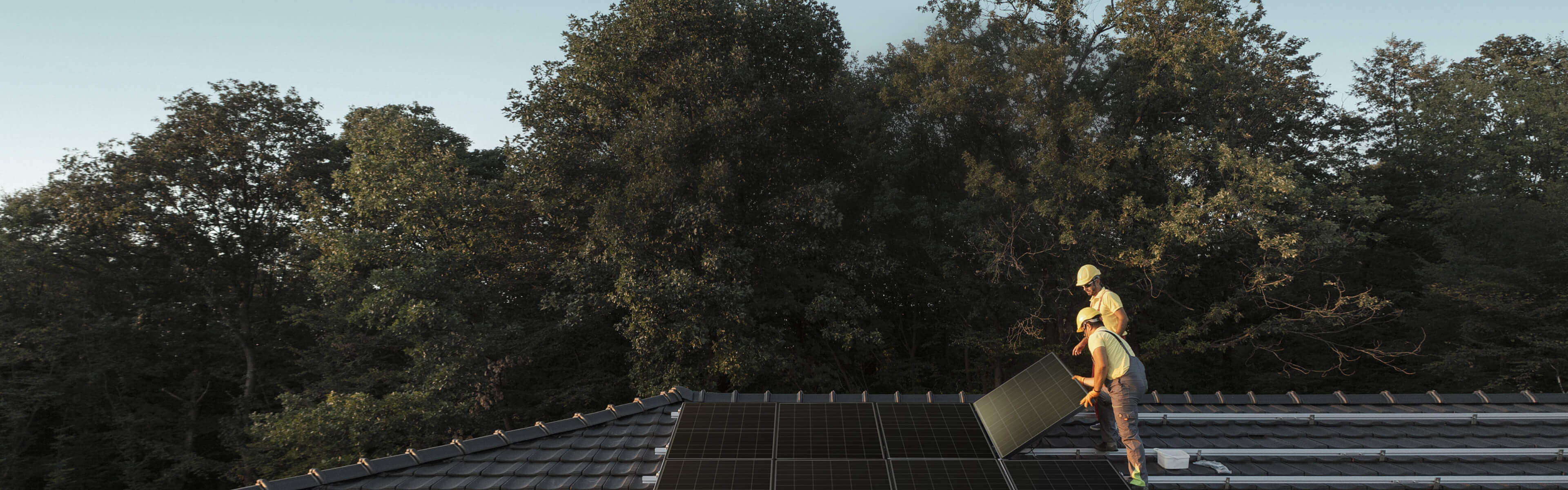 必赢·网络游戏平台-(中国游)有限公司