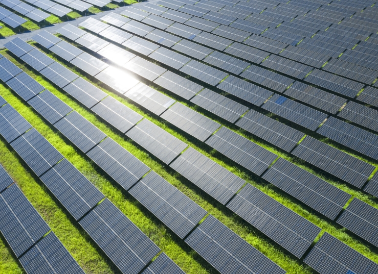 必赢·网络游戏平台-(中国游)有限公司