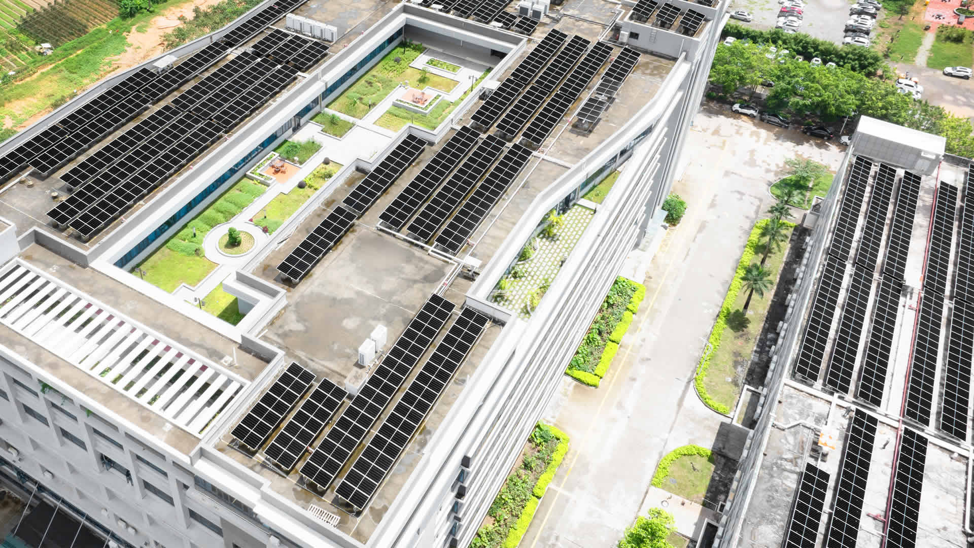 珠；；；；；；诳萍及咐