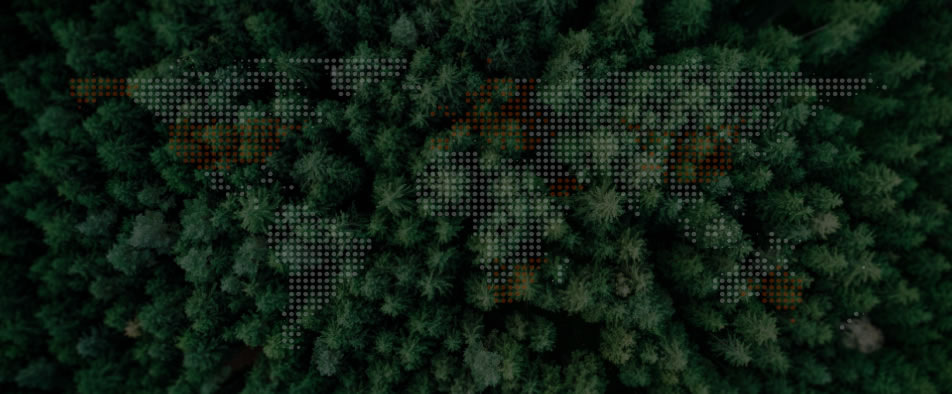 必赢网络游戏平台全球零碳案例