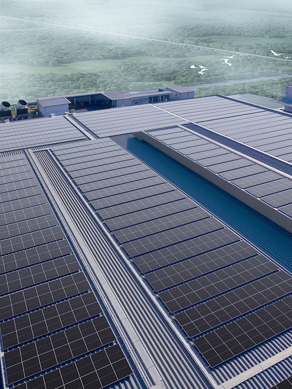 Commercial & Industry